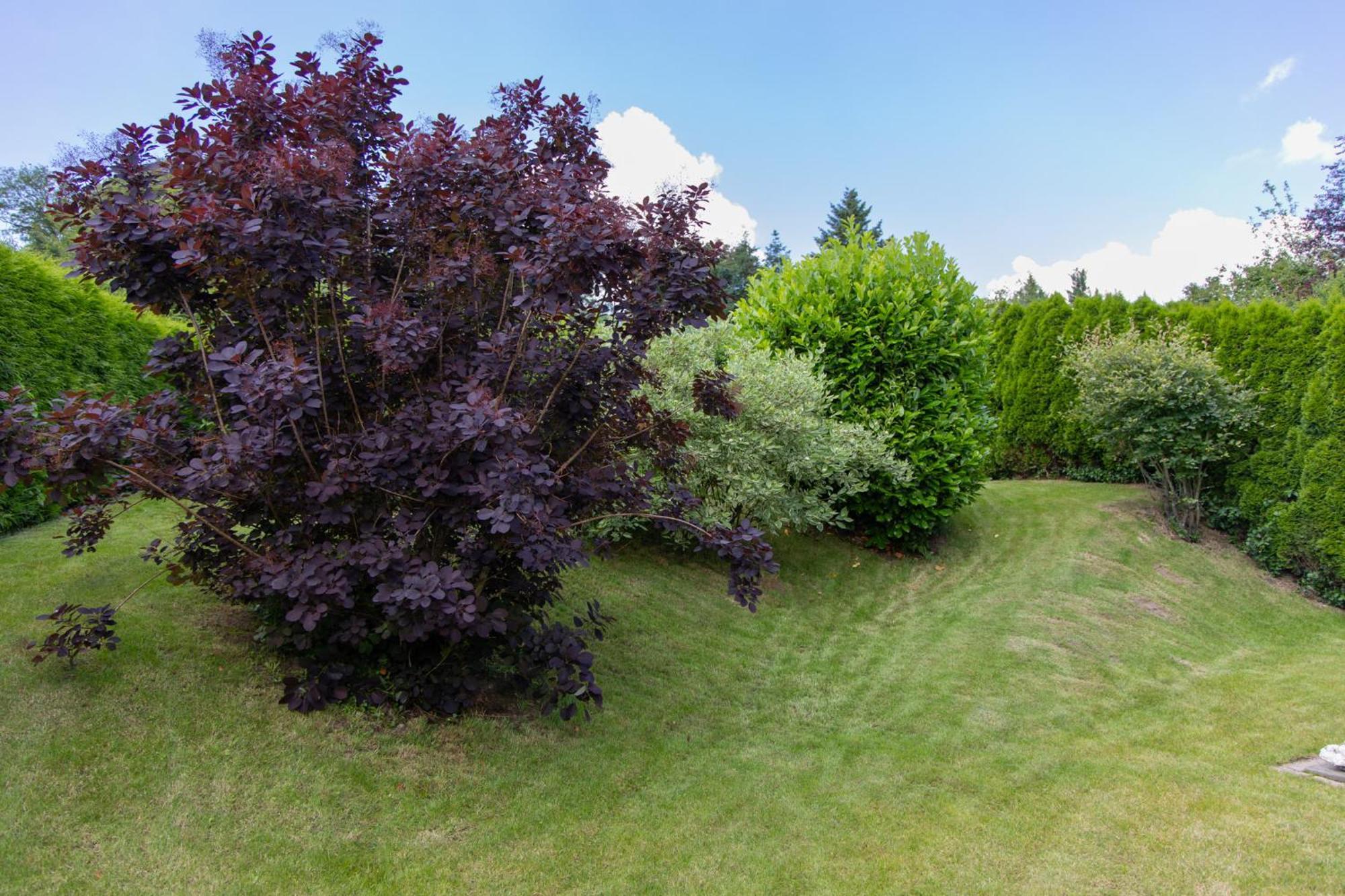 Ferienhaus Moselhoehe -Neu- Traben-Trarbach Exteriör bild