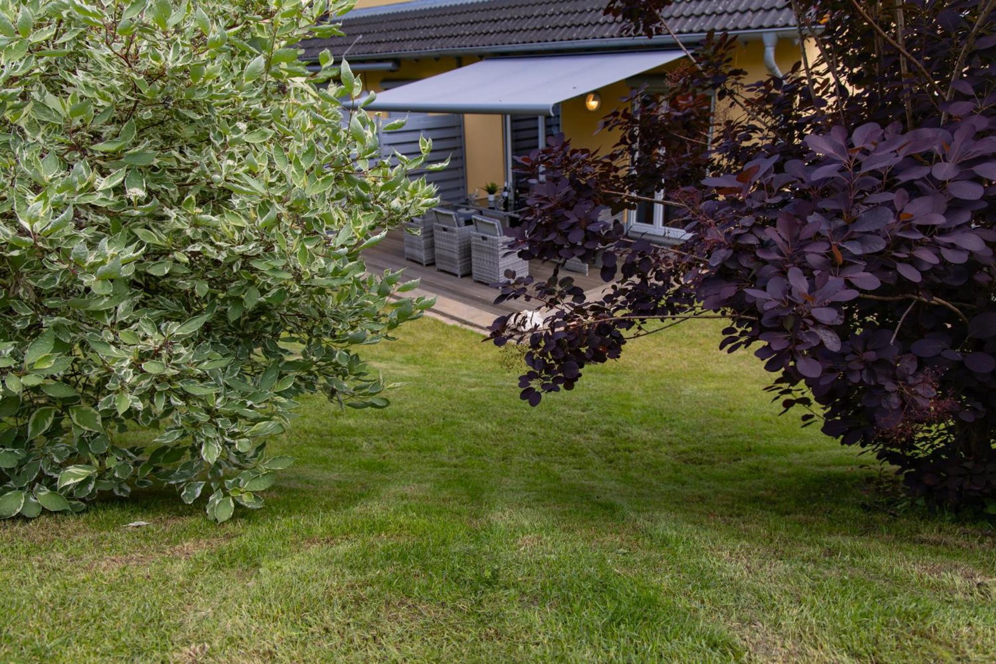 Ferienhaus Moselhoehe -Neu- Traben-Trarbach Exteriör bild